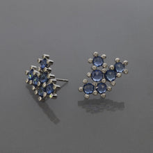 Load image into Gallery viewer, Blue Sapphire Succulent Earrings
