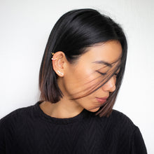 Load image into Gallery viewer, Hachi Diamond Single