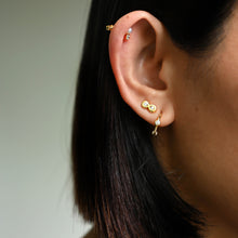 Load image into Gallery viewer, Hachi Diamond Single