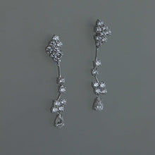 Load image into Gallery viewer, Diamond Willow Drop Earrings
