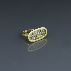 Natural Fancy Colored Diamond Pave Oval Ring