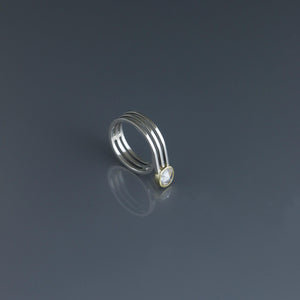 UXP Segment Overlap Ring