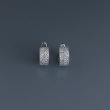 Load image into Gallery viewer, 13mm Diamond Pave Hoop Earrings
