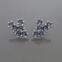 Load image into Gallery viewer, Blue Sapphire Succulent Earrings
