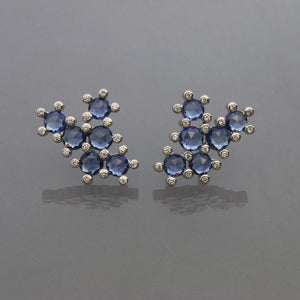Blue Sapphire Succulent Earrings