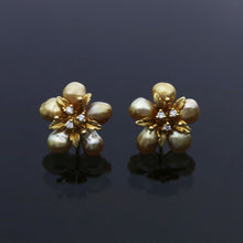 Load image into Gallery viewer, Golden Keshi Flower Earrings
