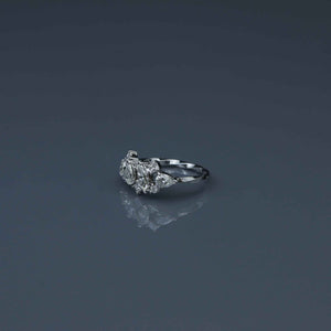 Marquise, Pear, Princess and Round Diamond Fragment Ring with Twist Band